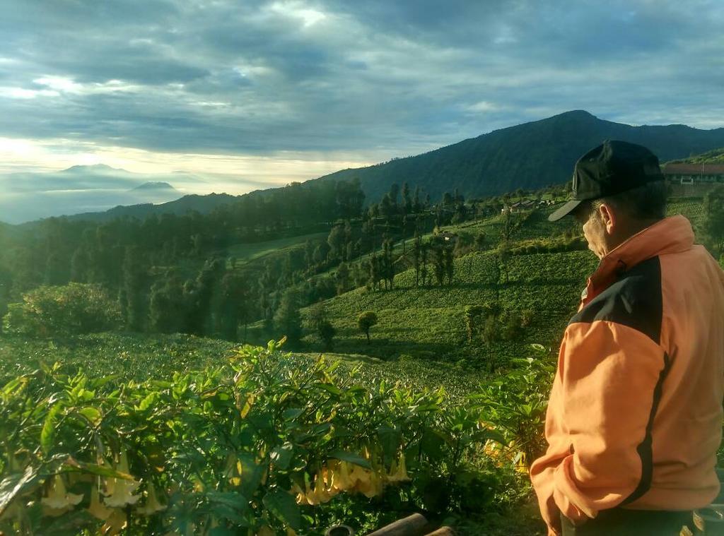 Bromo Otix Guest House Exterior photo