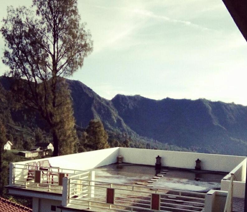 Bromo Otix Guest House Exterior photo